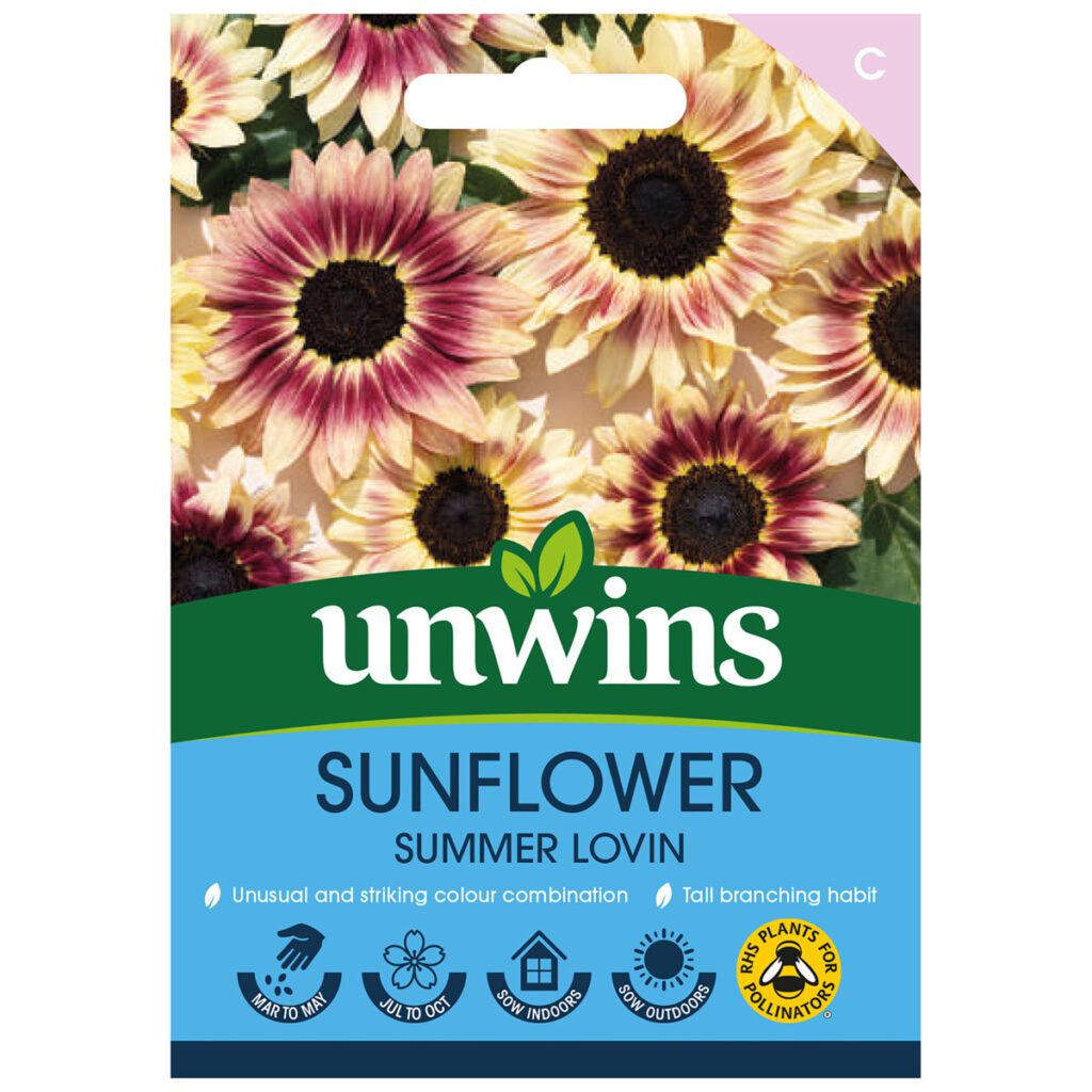 Unwins Sunflower Summer Lovin Seeds 5051618025102 2